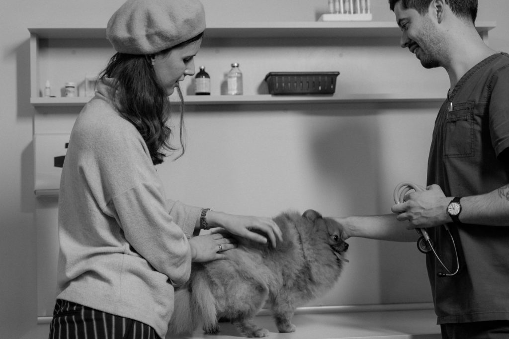 FDA amplia autorização emergencial de medicamento contra o gusano-barrenador em cães e gatos nos Estados Unidos Veterinária conversa com uma tutora enquanto examina um cão pequeno em uma clínica.